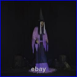 10FT Towering LED Animated Spooky Talking Witch Halloween Haunted House Decor 10FT Towering LED Animated Spooky Talking Witch Halloween Haunted House Decor