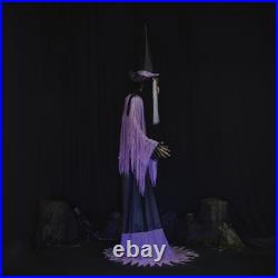 10FT Towering LED Animated Spooky Talking Witch Halloween Haunted House Decor 10FT Towering LED Animated Spooky Talking Witch Halloween Haunted House Decor