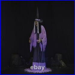 10FT Towering LED Animated Spooky Talking Witch Halloween Haunted House Decor 10FT Towering LED Animated Spooky Talking Witch Halloween Haunted House Decor