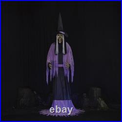 10FT Towering LED Animated Spooky Talking Witch Halloween Haunted House Decor 10FT Towering LED Animated Spooky Talking Witch Halloween Haunted House Decor