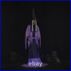 10FT Towering LED Animated Spooky Talking Witch Halloween Haunted House Decor 10FT Towering LED Animated Spooky Talking Witch Halloween Haunted House Decor