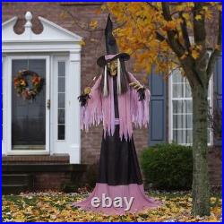 10ft LED Animatronic Witch with Sound, Motion Sensor