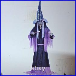 10ft LED Animatronic Witch with Sound, Motion Sensor