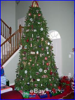 12 Ft Dunhill Fir Christmas Tree