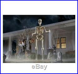 12 Ft. Giant Sized Skeleton with LifeEyes Home Depot NEW IN BOX