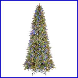 12-ft Douglas Fir Pre-lit Traditional Artificial Christmas Tree Holiday Living