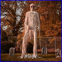 12 ft Foot Giant Skeleton Mummy LED Lighted Animatronic Halloween Lowe's