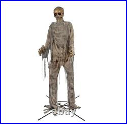 12 ft Foot Giant Skeleton Mummy LED Lighted Animatronic Halloween Lowe's