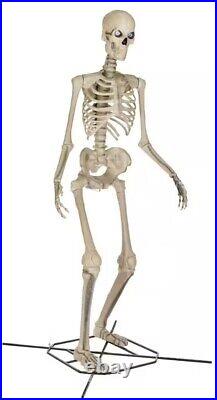 12 ft. Giant-Sized Skeleton Halloween Decoration