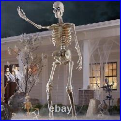 12 ft. Giant-Sized Skeleton with LifeEyes Home Depot New In Box! (Never Opened)
