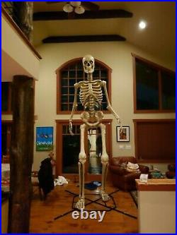 12ft Skeleton with LCD eyes from Home Depot used ONLY ONCE FREE LOCAL PICKUP