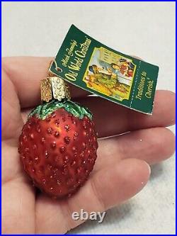 13PC Lot Old World Christmas Ornaments Blown Glass Handpainted FRUITS VEGGIES