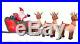 16 ft Inflatable Santa in Sleigh Reindeer Christmas Holiday Yard Lawn Decor