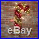 1m Mains Powered Indoor Outdoor Twinkling Christmas Candy Cane Motif Led Light