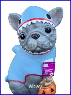 2026 Home Depot 2.5 Ft Gray Frenchie in Shark Costume Halloween Dog Blow Mold 2026 Home Depot 2.5 Ft Gray Frenchie in Shark Costume Halloween Dog Blow Mold
