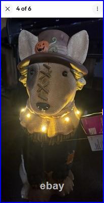 2026 Home Depot 2.5 Ft Scarecrow Bullterrier Halloween Dog Blow Mold LED 2026 Home Depot 2.5 Ft Scarecrow Bullterrier Halloween Dog Blow Mold LED