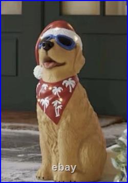 2026 Home Depot Accents 2.5 Ft Hand Painted Led Golden Retriever Blow Mold 2026 Home Depot Accents 2.5 Ft Hand Painted Led Golden Retriever Blow Mold
