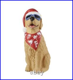 2026 Home Depot Accents 2.5 Ft Hand Painted Led Golden Retriever Blow Mold 2026 Home Depot Accents 2.5 Ft Hand Painted Led Golden Retriever Blow Mold