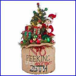 23.75 NO PEEKING BAG WITH LIGHTED TREE Raz Imports CHRISTMAS 4015550 NEW Wow