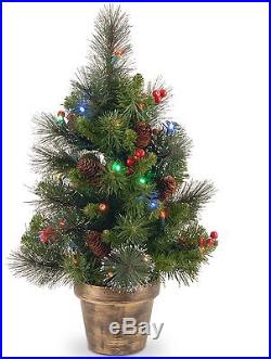 24 Lighted Christmas Spruce Tree Battery Operated Multi Color LED Lights Decor
