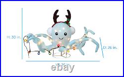 2.5 ft LED Pop Up Octopus Lighted Decoration? Lowes Holiday Living Christmas