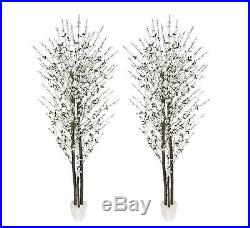 2 Cherry Blossom 7' Real Wood Artificial Trees Potted W