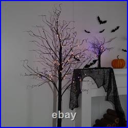 2 Pack 6FT Halloween Lighted Black Birch Tree Total 288 LED Purple and Orange 2 Pack 6FT Halloween Lighted Black Birch Tree Total 288 LED Purple and Orange