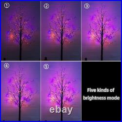2 Pack 6FT Halloween Lighted Black Birch Tree Total 288 LED Purple and Orange 2 Pack 6FT Halloween Lighted Black Birch Tree Total 288 LED Purple and Orange