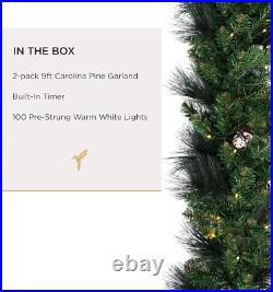 2 Pack of 9 Ft Pre-Lit Frosted Carolina Pine Garland, Artificial, Pine Cones, Wa