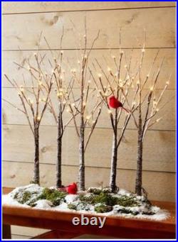 30 LIGHTED SNOWY GROVE Tree Brown 88-LED Steady Twinkle Christmas RAZ 3800926