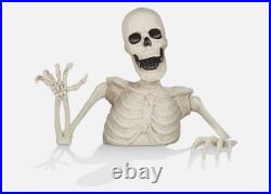 35 Groundbreaking Skeleton Creepy Exterior Halloween Decorations for Yard