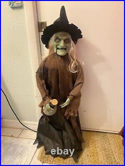 3 FT Halloween Animated singing/movement DANCE Potion Witch PAN ASIAN SEE VIDEO