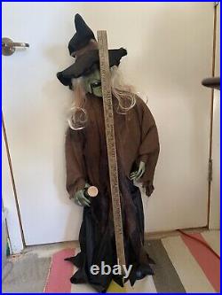 3 FT Halloween Animated singing/movement DANCE Potion Witch PAN ASIAN SEE VIDEO