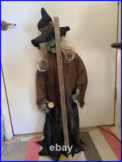 3 FT Halloween Animated singing/movement DANCE Potion Witch PAN ASIAN SEE VIDEO 3 FT Halloween Animated singing/movement DANCE Potion Witch PAN ASIAN SEE VIDEO