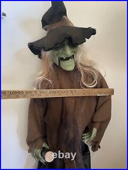 3 FT Halloween Animated singing/movement DANCE Potion Witch PAN ASIAN SEE VIDEO