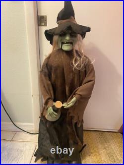 3 FT Halloween Animated singing/movement DANCE Potion Witch PAN ASIAN SEE VIDEO 3 FT Halloween Animated singing/movement DANCE Potion Witch PAN ASIAN SEE VIDEO