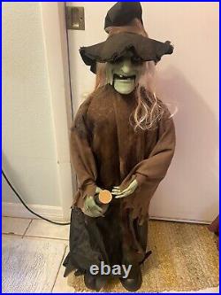 3 FT Halloween Animated singing/movement DANCE Potion Witch PAN ASIAN SEE VIDEO