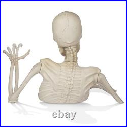 3 Ft. Halloween Groundbreaker Skeleton, Giant Scary Outdoor Yard Decoration 3 Ft. Halloween Groundbreaker Skeleton, Giant Scary Outdoor Yard Decoration