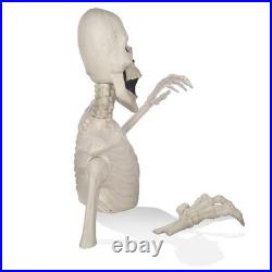 3 Ft. Halloween Groundbreaker Skeleton, Giant Scary Outdoor Yard Decoration 3 Ft. Halloween Groundbreaker Skeleton, Giant Scary Outdoor Yard Decoration