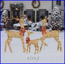 3 Piece LED Lighted Reindeer Family Deer Buck Doe Outdoor Christmas Yard Decor