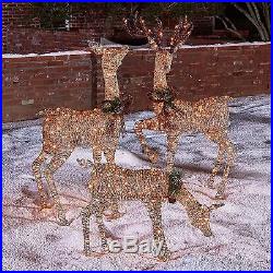 3 Piece Lighted Deer Family Holiday Decoration Christmas Dcor