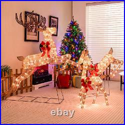 3 Pieces Lighted Christmas Reindeer, Holiday Reindeer Family Set with 255 Warm W