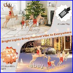 3 Pieces Lighted Christmas Reindeer, Holiday Reindeer Family Set with 255 Warm W