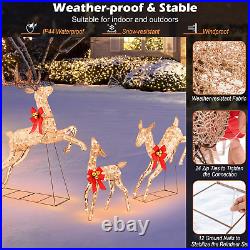 3 Pieces Lighted Christmas Reindeer, Holiday Reindeer Family Set with 255 Warm W