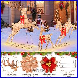 3 Pieces Lighted Christmas Reindeer, Holiday Reindeer Family Set with 255 Warm W