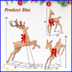 3 Pieces Lighted Christmas Reindeer, Holiday Reindeer Family Set with 255 Warm W
