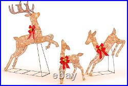 3 Pieces Lighted Christmas Reindeer, Holiday Reindeer Family Set with 255 Warm W
