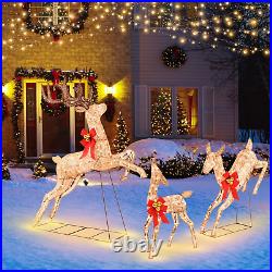3 Pieces Lighted Christmas Reindeer, Holiday Reindeer Family Set with 255 Warm W
