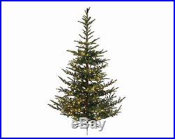 4.5 x 40.25 Pre-Lit Everlands Nobilis Fir Artificial Christmas Tree Warm Cle