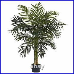 4 Golden Cane Palm Tree